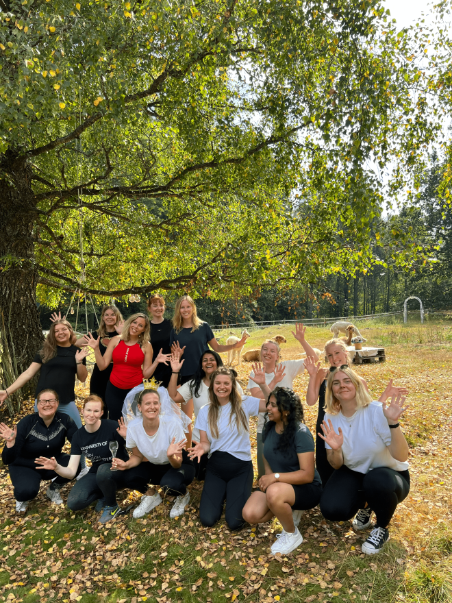 En grupp kvinnor i en hagen med alpackor i bakgrunden.